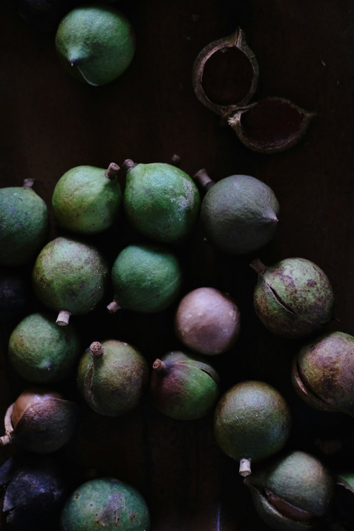 macadamia_fruits_unsplash_shen_pan.jpg