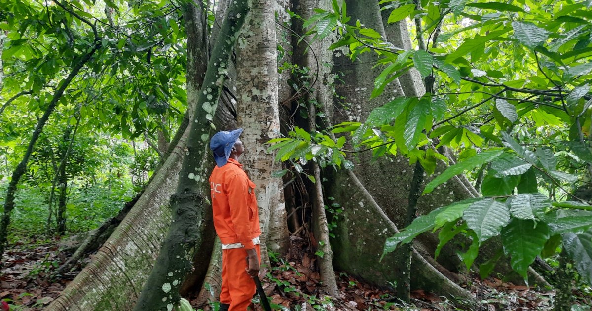 NATURA SUD-EST - Croissance inclusive et usage responsable des ...