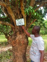 agri_bio_mangue_cote.jpg