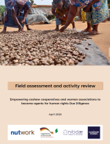 260408_nitidae_ddf_field_assessment_and_activity_review.png