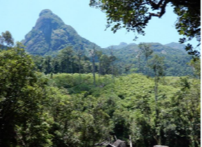 madagascar_climat_aires_protegees_foret.png